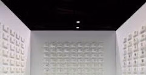 EXPO N.E.S.T. : "TRANSLUCENT"