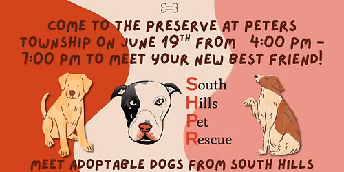 Good Vibes and Tail Wages @ The Preserve at Peters Township