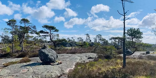 \u00c5pning av Naspeheia etter ferdig skilting inkl. opptreden av skuespillere fra kulturskolen