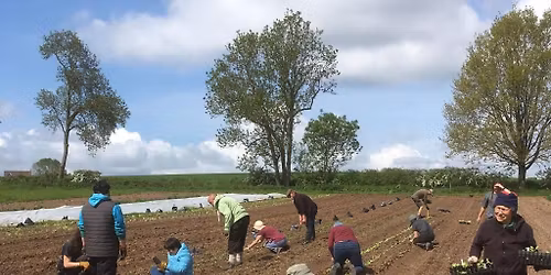 Wednesday Land Team session