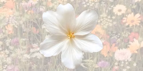 \ud83c\udf19 Bloom in the Dark: A Mystical Night in the Enchanted Garden \ud83c\udf3f 28th Annual Big Dance