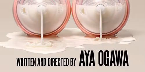 Meat Suit or The Shitshow of Motherhood at Pershing Square Signature Center