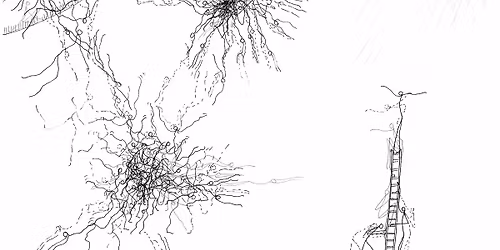 Efva Lilja - A Life as Right as Rain