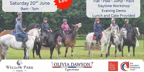 \ud83d\udca5 June Wellow 1 Day Camp \ud83d\udca5