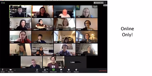 Online Group Mentoring Meeting