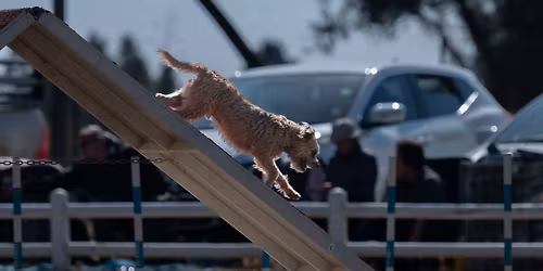 Boland Regional Trials