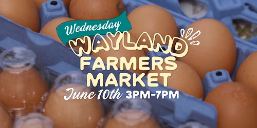 Wayland Farmers Market | Weds. June 10th