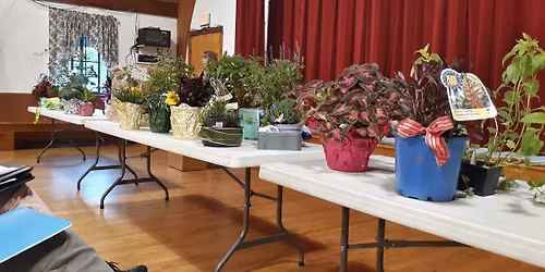 Member Plant Swap and Meeting
