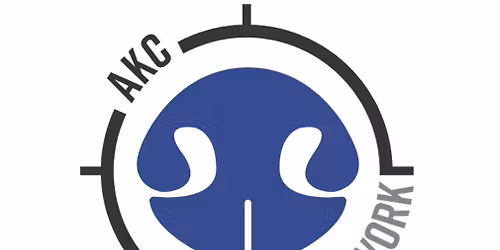 AKC Scent Work Trial