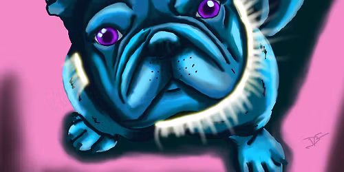 Dragon\u2019s Animal world 