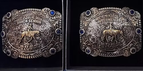 Double Judge Pleasure Show