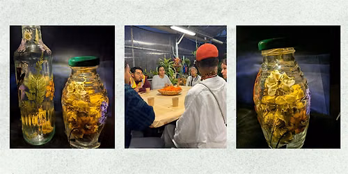 Art in the Garden: Sunshine in a Bottle