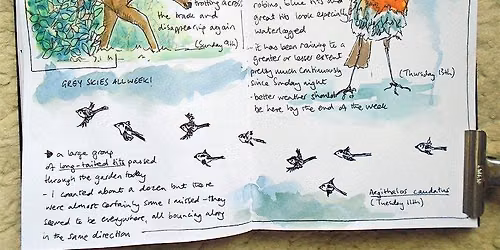 Nature Journaling with Sharon - 22nd June PP