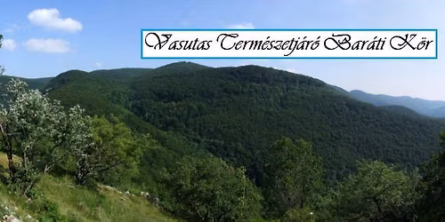 Forrás-völgyi túra szalonnasütéssel