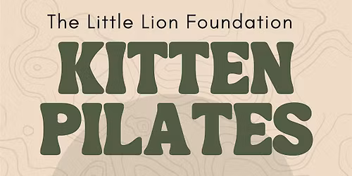 Kitten Pilates and Play Therapy