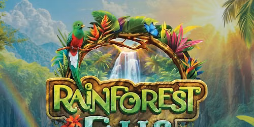 Rainforest Falls VBS 2026