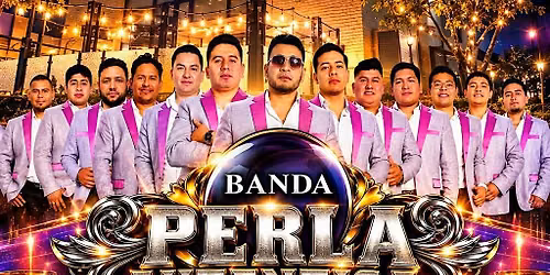 Banda y Fogata
