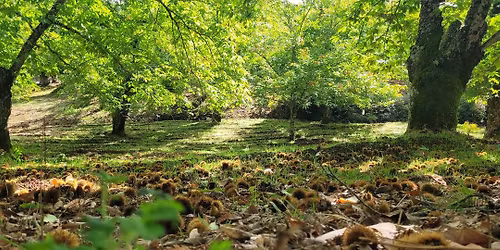 Circular por Fuenteheridos