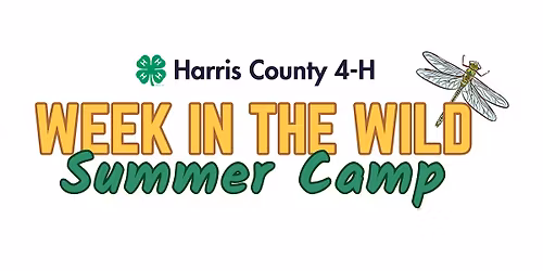 4-H Week in the Wild Camp