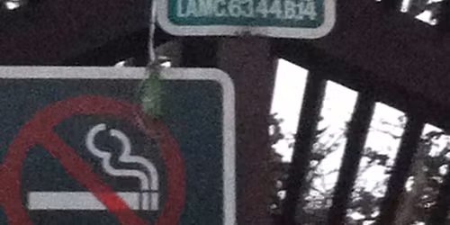 Menorah, lighting and winter wonderland