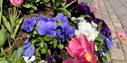 Aalborg City Sommermarked