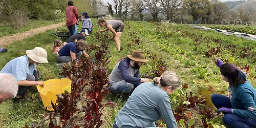 Teign Greens September Volunteer Morning!