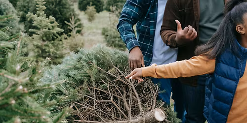 Christmas Tree Recycling Days