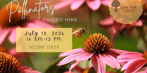 Guided Hike: Pollinators