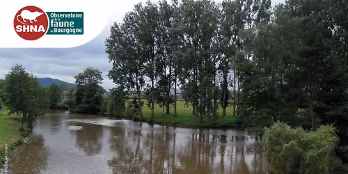 Balade sur les bords de l'Arroux
