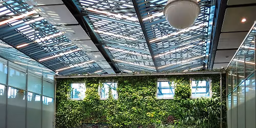 Climate Innovation Studio: Accelerate Decarbonization