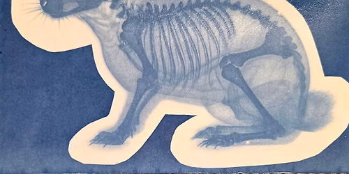 Cyanotype Workshop for Beginners: Ages 13+