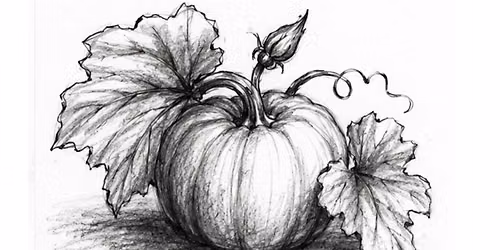 Charcoal  Pumpkin Drawing Class for Adults and Teens