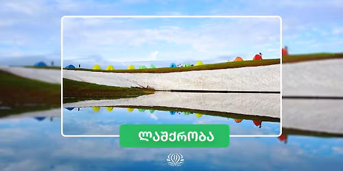 \u10e1\u10d5\u10d0\u10dc\u10d4\u10d7\u10d8 - \u10e0\u10d0\u10ed\u10d0: \u10e1\u10d0\u10e1\u10d5\u10d0\u10dc\u10dd\u10e1 \u10e2\u10d1\u10d4\u10d1\u10d8 \u00a9 Green Zebra