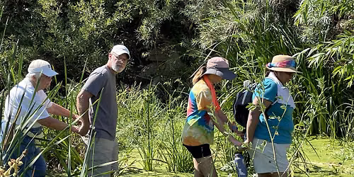 LO Central Coast | Watery Walk with SLO Beaver Brigade