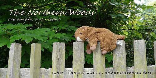 Jane's Summer Stroll \u2013 Northern Woods