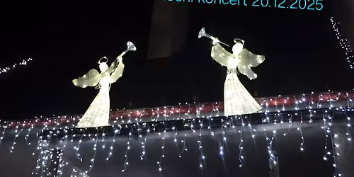 V\u00e1no\u010dn\u00ed koncert