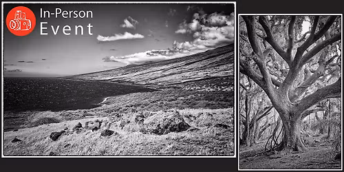 Maui: Portfolio Reveal \u2013 The Landscape Observed by Steve Speer