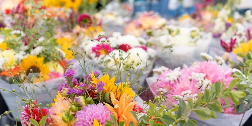 Manitowoc Farmers Market Opening Day