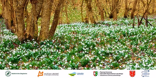 Wiosenny spacer z le\u015bnikiem i muzealnikiem