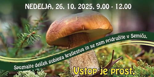 Razstava gob 2025