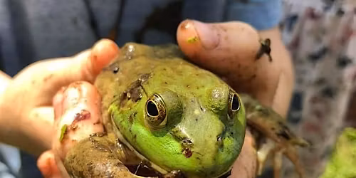 Explore Redwing Pond