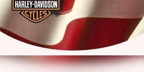 VIKING at Worth Harley Davidson 