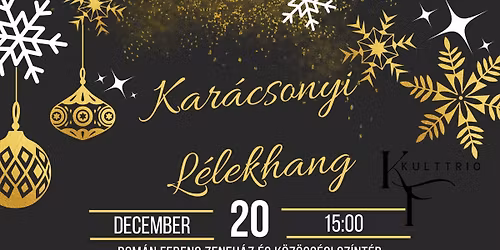 Kar\u00e1csonyi nap a Zeneh\u00e1zban