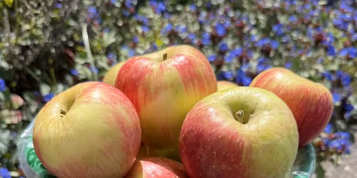 Apple Harvest Festival