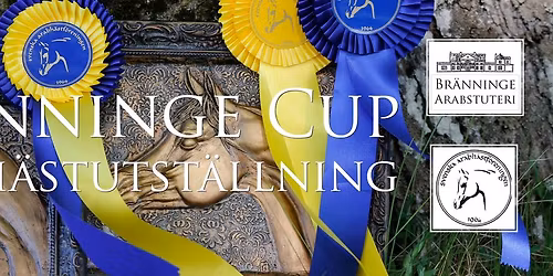 Br\u00e4nninge Cup ECAHO International C-Show