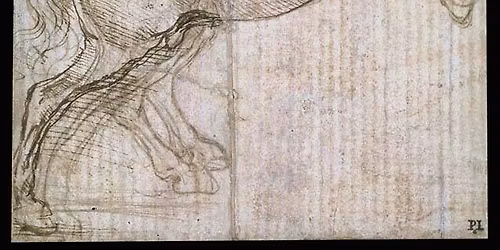 Leonardo's Horses: Equine Studies of Leonardo Da Vinci