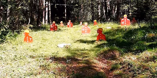 Funksjonsanalyse (FA)