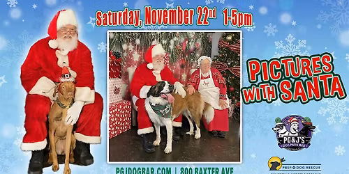 Pictures with Santa Paws