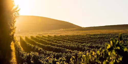 Weekly Wednesday Trail - Meerendal 