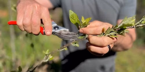 Vegetative Propagation Workshop